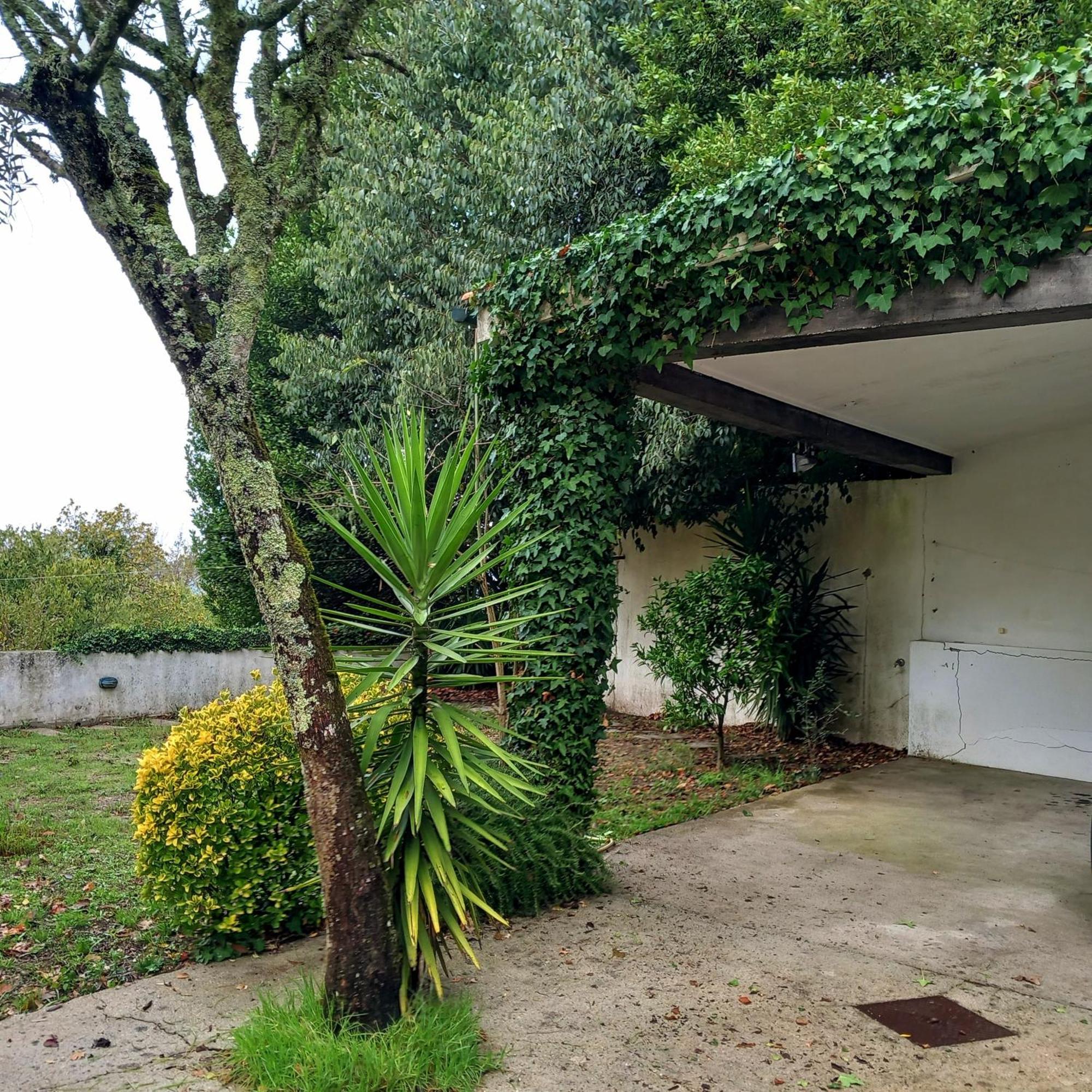 Casa Amarante Porto Villa Bagian luar foto